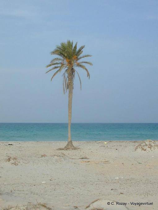 Palma Djerba, playa el Hachen - Túnez