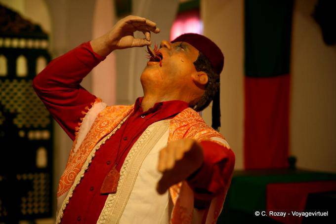 Eater escorpión Sufi, Guellala, Yerba - Túnez