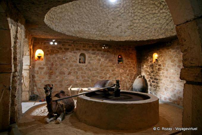 Camel y molino de trigo, Guellala - Túnez