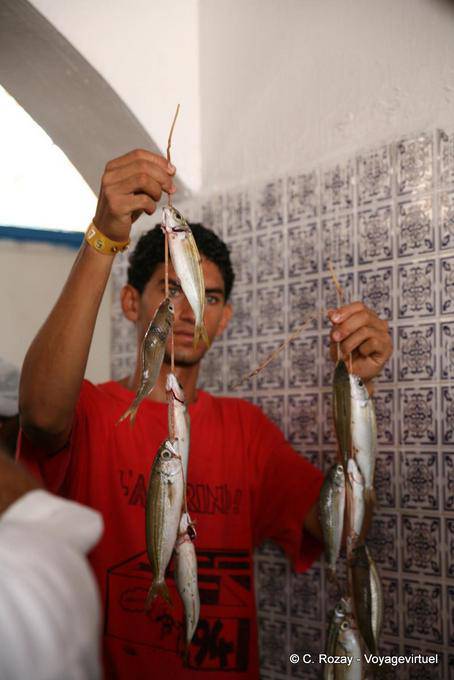 Mercado de pescado de Houmt Souk, Djerba - Túnez