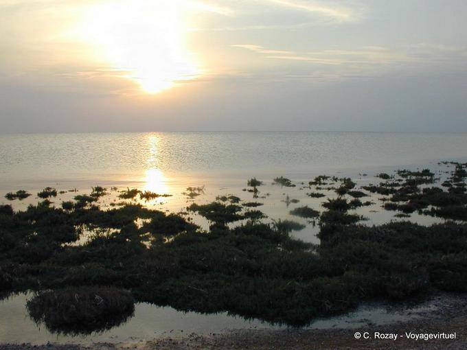 Djerba luz del entorno en la costa - Túnez