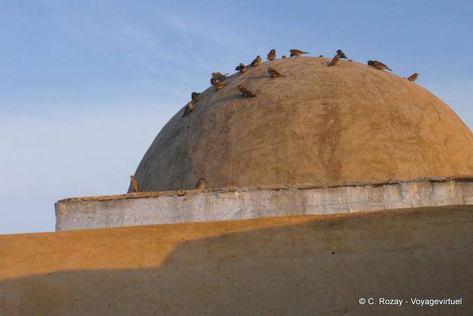 Aves Dome, Kairouan - Túnez