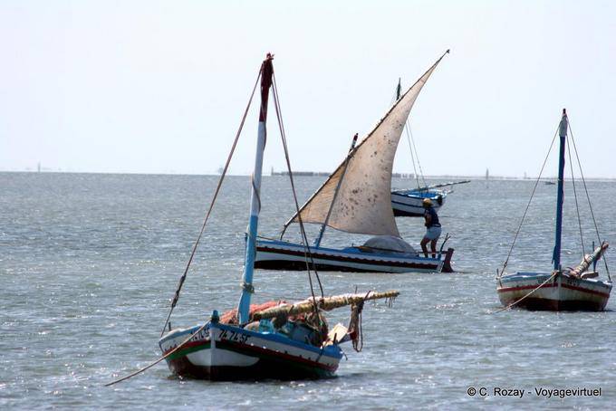 A la vuelta de la pesca, el Attaya, Kerkennah - Túnez