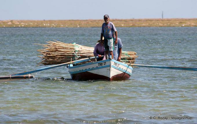 Pescador diario El Attaya, Islas Kerkennah - Túnez