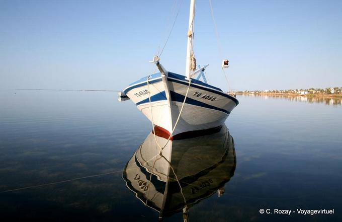 Hélice duplicado, Ouled Kacem, Kerkennah - Túnez