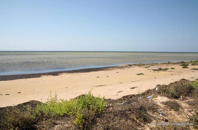 Beach hacia el este, Remla, Kerkennah - Túnez