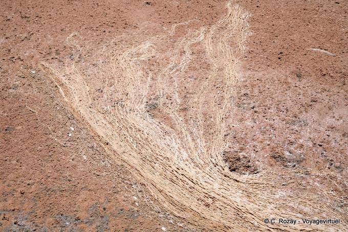 Sal, tierra y arena mezcladas Kerkennah Sidi Frankhal - Túnez