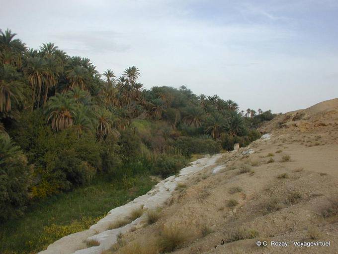 Oasis Tamerza - Túnez