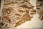 Museo del Bardo, mosaico pescador, Túnez.