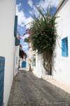 Sidi Bou Said, pequeña pavimento de la calle, Túnez.