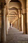 Columnas antiguas reutilizado, Gran mezquita Kairouan, Túnez.