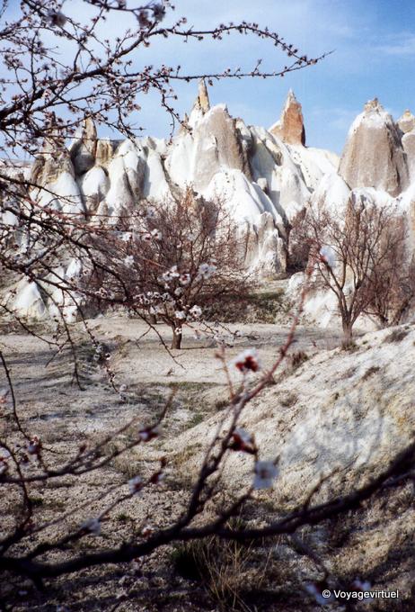 Primavera en el Valle Blanco, Capadocia - Turquía