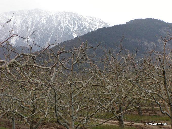 Nieve en las colinas y frutas brote, Egirdir - Turquía