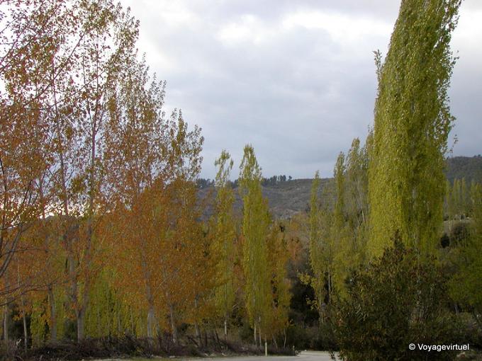 Álamos renacen, Egirdir - Turquía