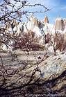 Primavera en el Valle Blanco, Capadocia, Turquía.